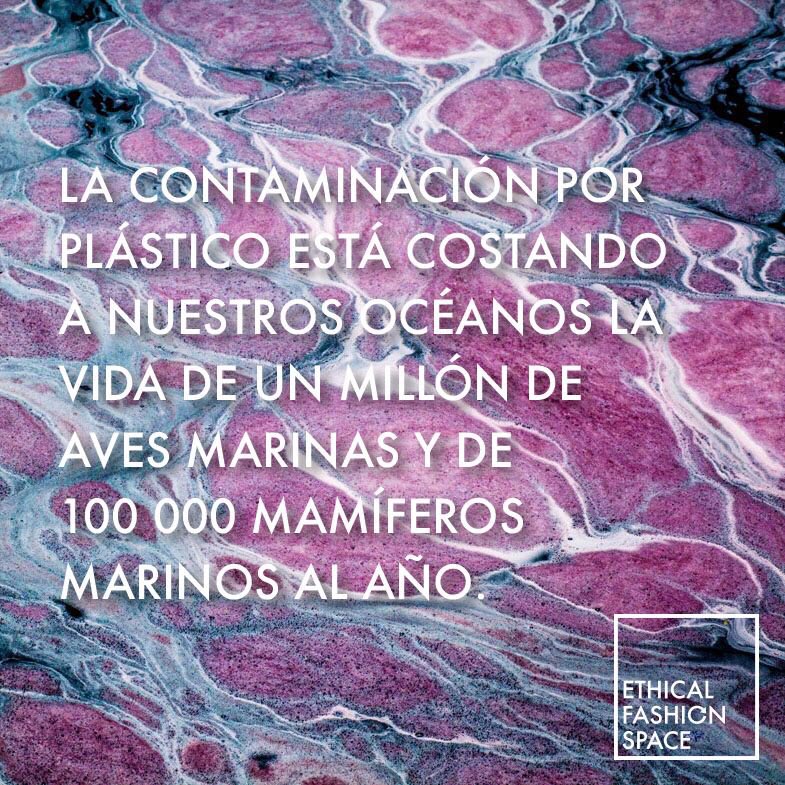 EthicalFashionS's tweet photo. Limpiemos nuestros océanos HOY #8jun #Diamundialdelosoceanos #UN #ODS14 #EFSGLOBAL https://t.co/z64aYXHHGs
