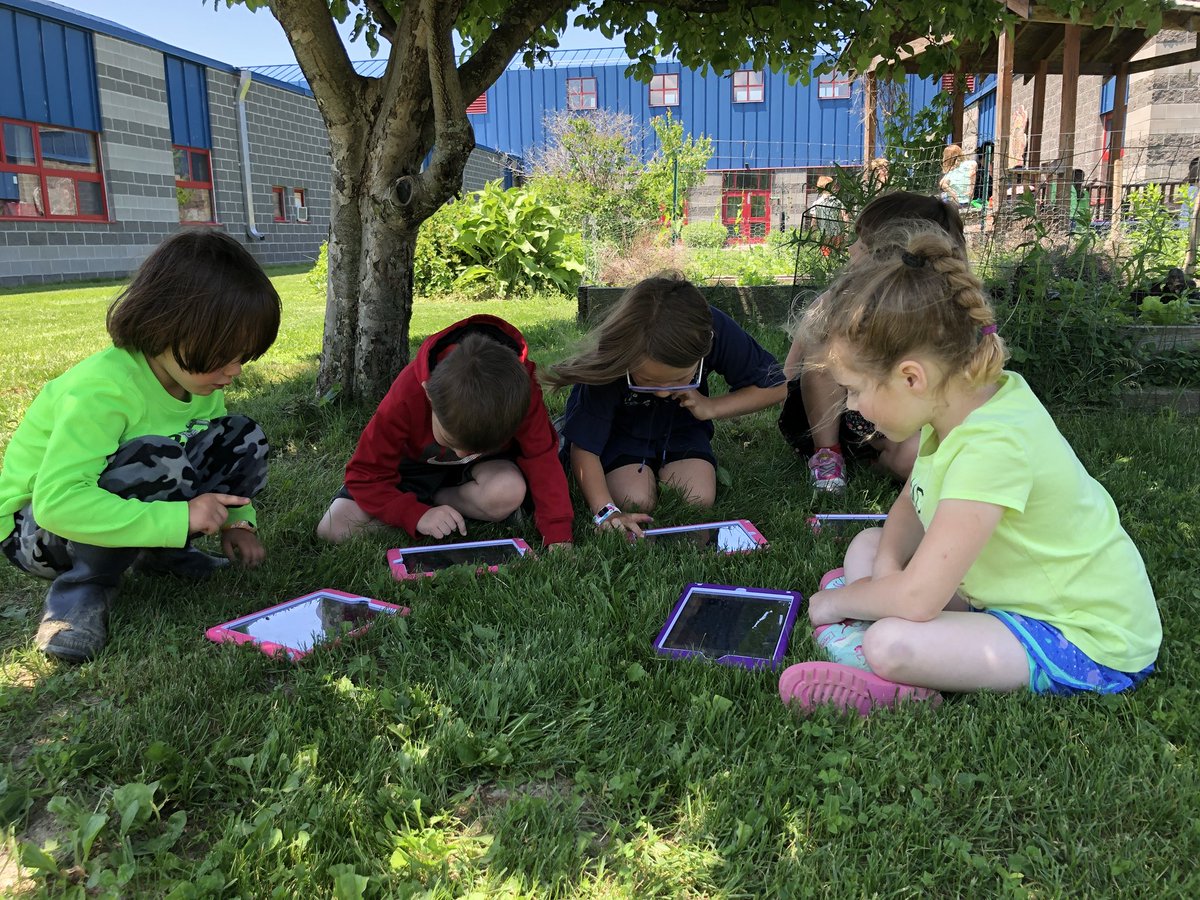 Sarah Read tweet media