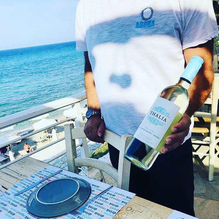 Thalia Wine tweet media