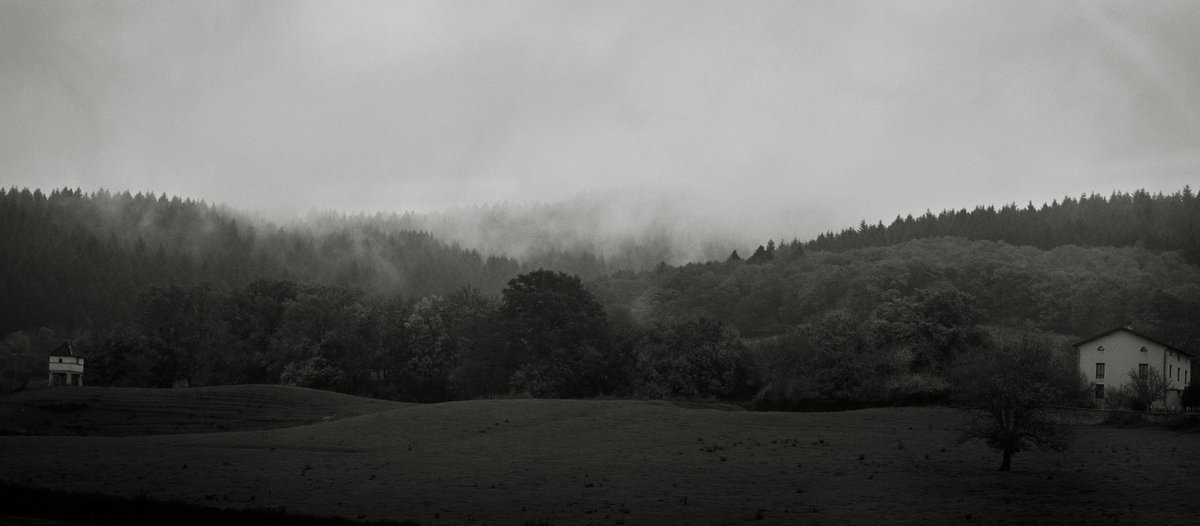 emmairisbenson's tweet photo. nowhere else
#buthere #landscape #photography #fog #forest #afewotherwords https://t.co/2mfI42jpFr