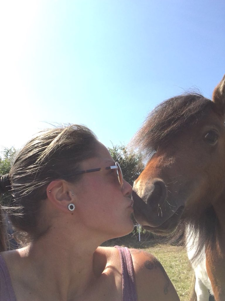 CapitalEquestri's tweet photo. The #CapitalEquestrian little ladies #Shetlands #Paisley & #Maggie have been in for a brush, fly spray and love this morning joining the boys at #AuntyJodie’s #HayBar! #ponies #horses #Cheshire #247equestrian https://t.co/tBErhOQ7pR