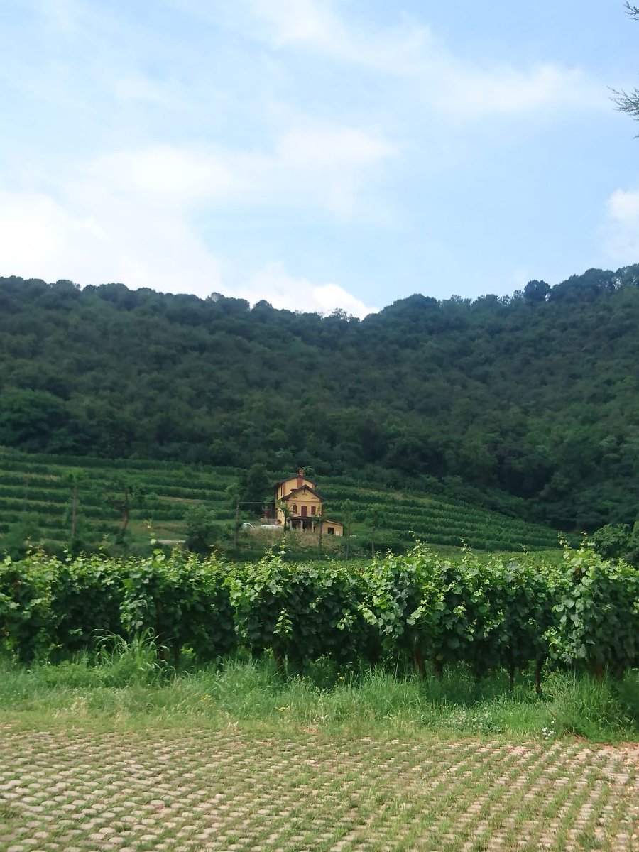 Aramendi_'s tweet photo. Oggi abbiamo scoperto l'Italia!! Visita alla compagnia @CalvisiusCaviar, un pranzo alla @DispensaPV e visita e degustazione all'azienda agricola @Franciacorta #Faccoli #ITmakES #ItalianTaste https://t.co/9QFYtLco6X