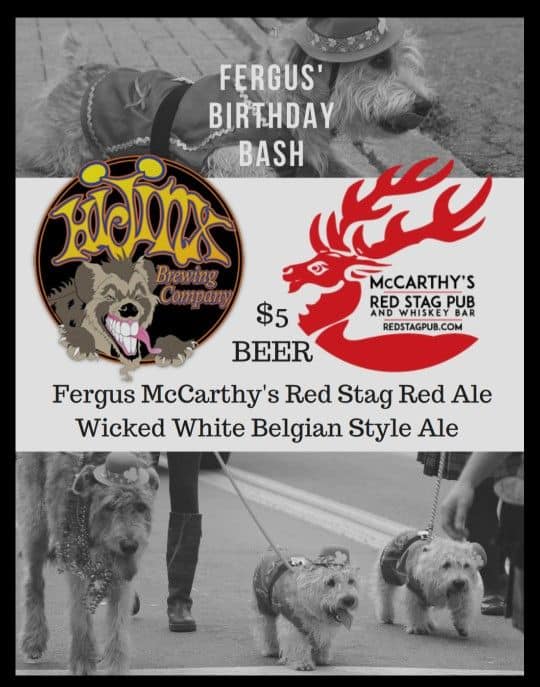 RedStagPubPA's tweet photo. Fergus McCarthy's Birthday Bash is this Saturday from 10am-6pm on Walnut Street! #getdowntownbethlehem #bethlehempa @IHeartBethlehem @FigBethlehem @donegalsquare 
For more info visit: https://t.co/mNiPBZt3yU https://t.co/1LtjgwleGJ
