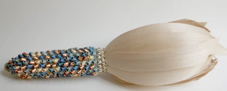 basketry corn cob!! by kelly church (Ojibwe/Odawa)