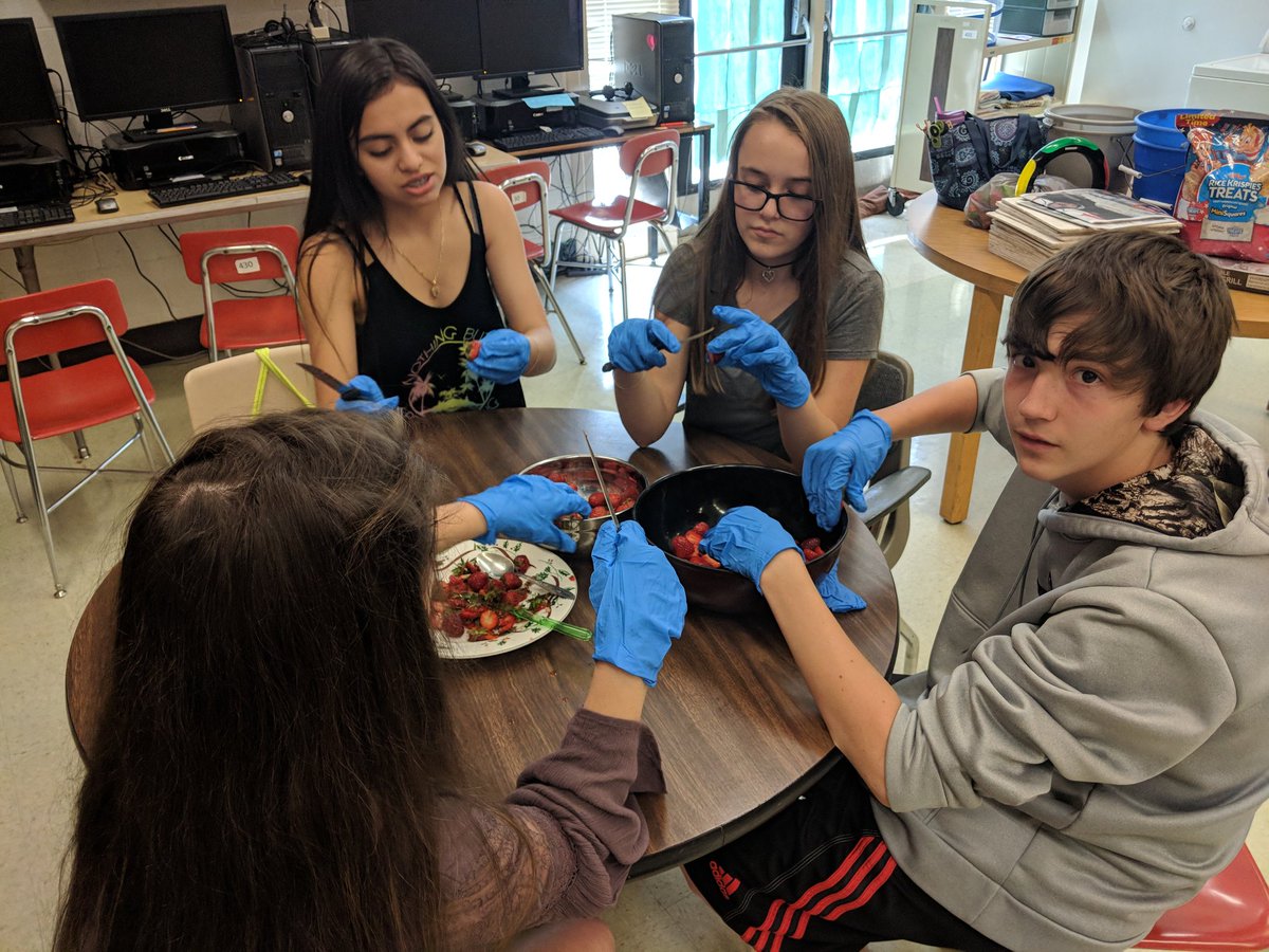 SarahEShriner's tweet photo. Strawberry jam! #fcpscte #mhshort #teachag #fcpsffa @FCPSCTE https://t.co/70kpbPKAqg