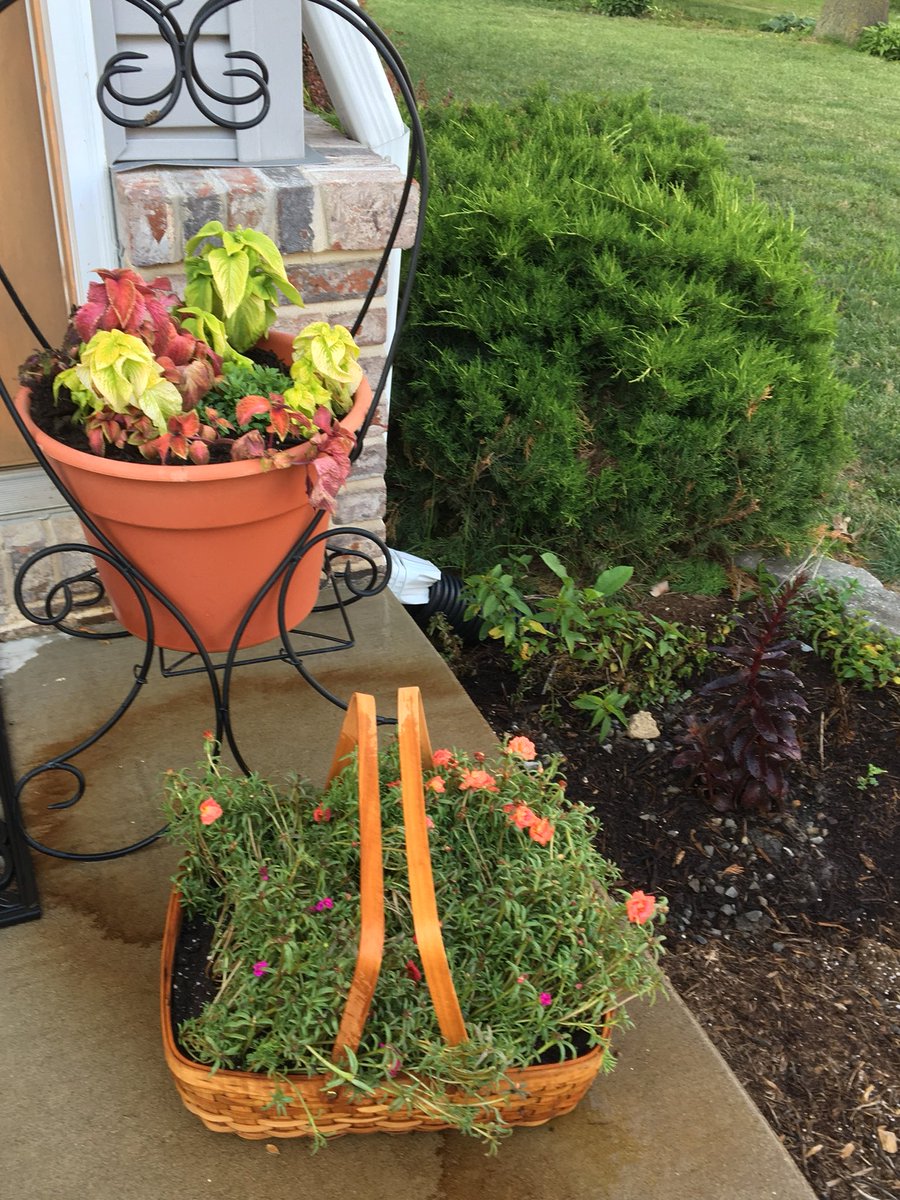 JodiBoschert's tweet photo. Today I made a true flower basket. #inspiredbysummer https://t.co/3eRtb9VEm3