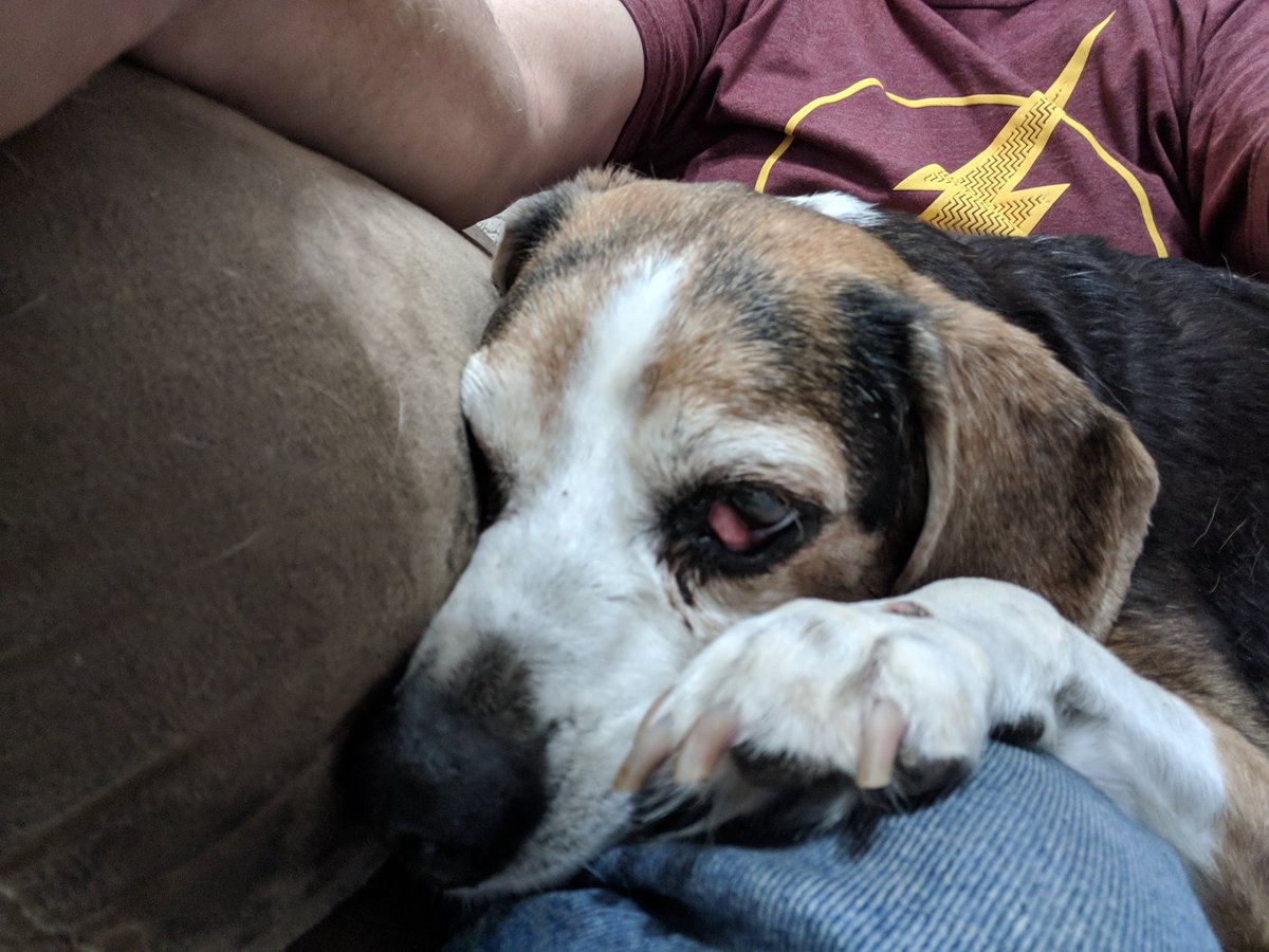 Fospice care is tough Taking in a sweet baby knowing your time is limited with them. The reward is unconditional love and the memory's that fill the hole in your heart. I've always been told that if letting one go doesn't tear your heart up then your doing it for the wrong reason