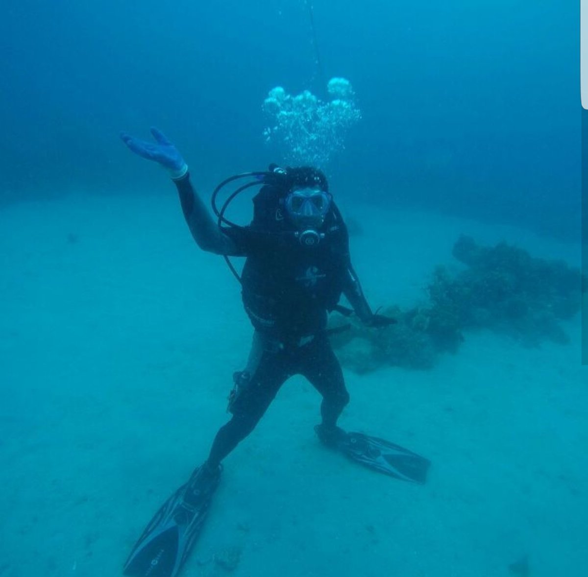 SEBIjm's tweet photo. As we recognize #WorldOceansDay, we applaud #SEBISocEnt Montego Bay Marine Park that conserves, preserves and restores our ocean π
#BeatPlasticPollution so we can have a healthier and beautiful Jamaica π―π² https://t.co/gObNTT5rtT