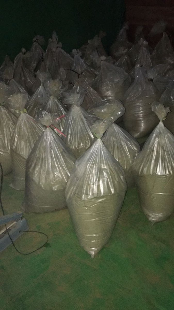 daengbotanical's tweet photo. special fast! minimum order 200 kg price per kg is $ 23 and order 500 kg price per kg is $ 20! if you are interested please pm me .
email
ibadfabregas91@gmail.com 
whatsapp: +6285841024557 https://t.co/rS1xQYs1xc