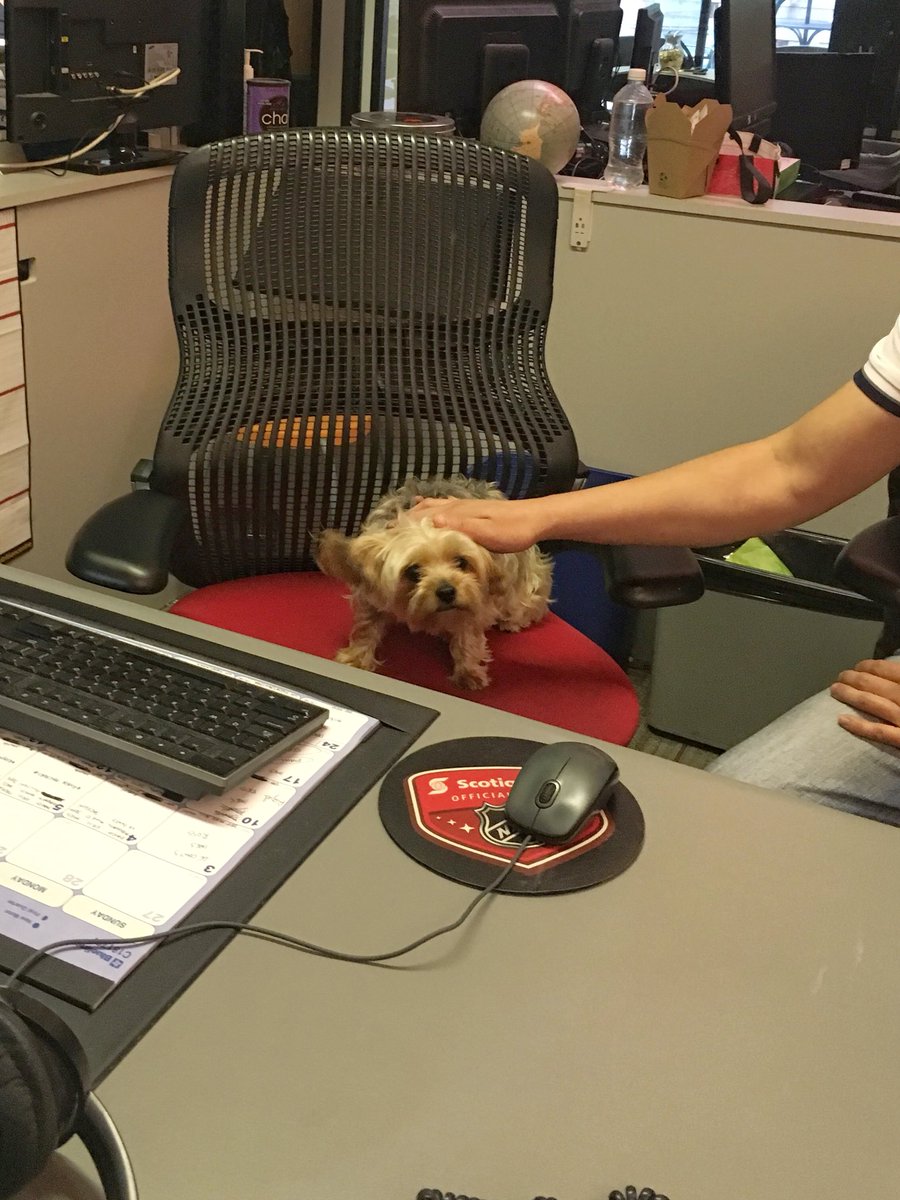 DFriesenGlobal's tweet photo. What a treat having a guest director in the control of @GlobalNational today. Calm, charismatic, and super cute! Happy Friday everyone! https://t.co/3CHw4HABk8
