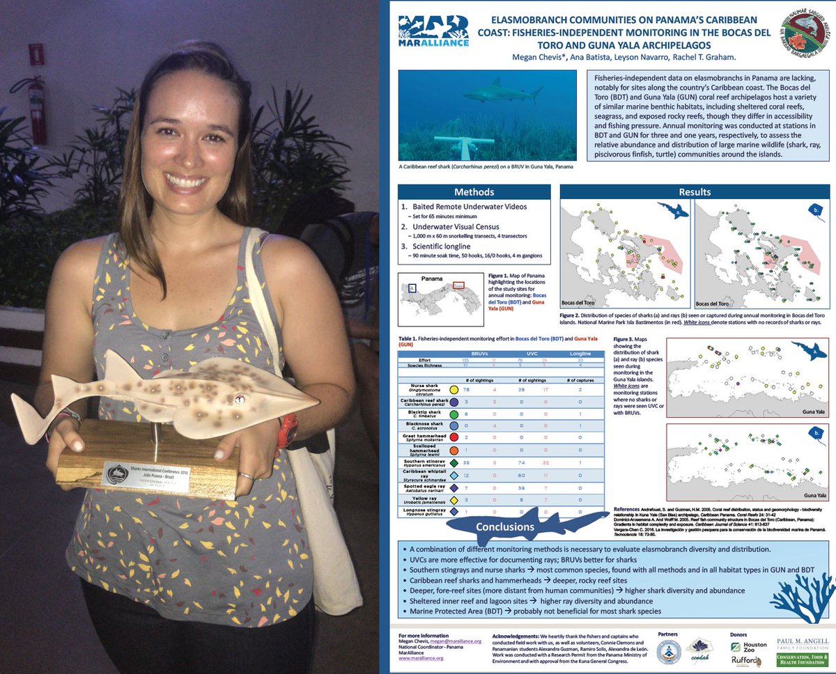 MarAlliance tweet media
