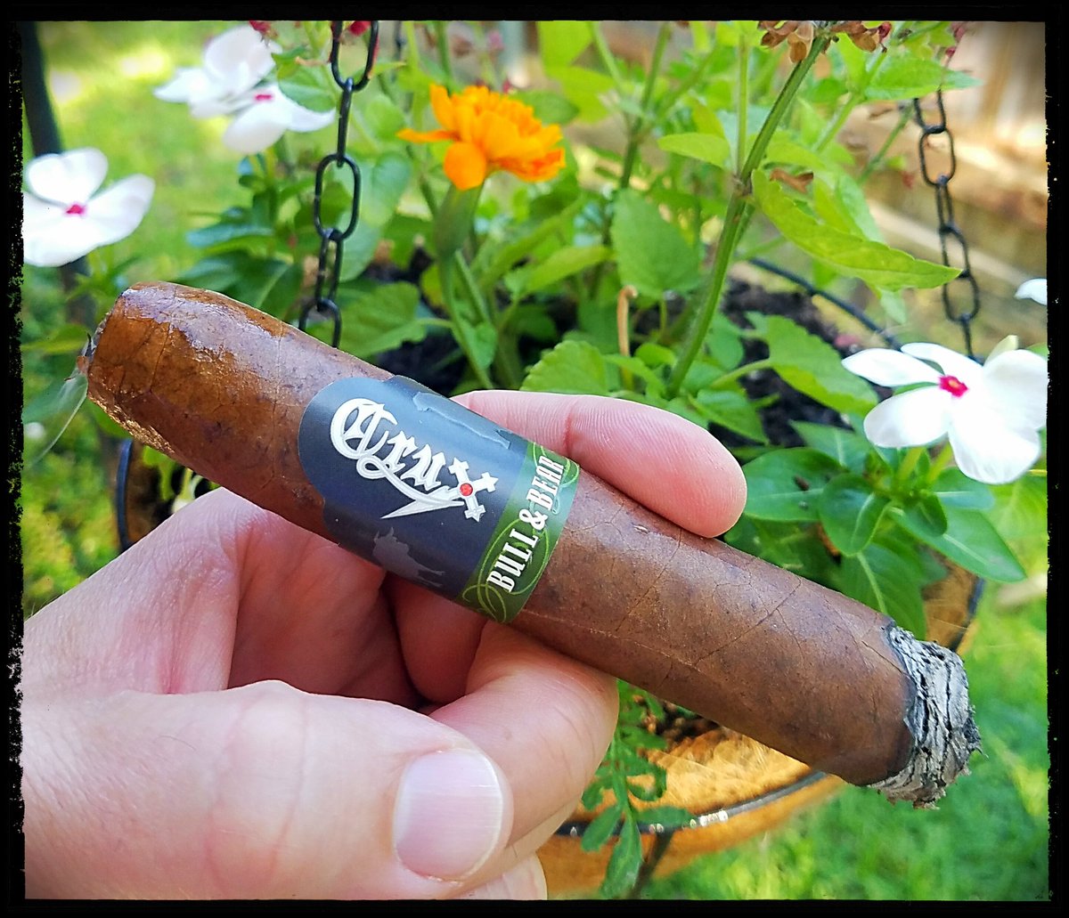 DRE_Go_Fish's tweet photo. Great night for @CruxCigars Bull &amp; Bear #cigar #BOTL #botltxchapter #cigartime @MichaelsEuless https://t.co/QTy3dB710v