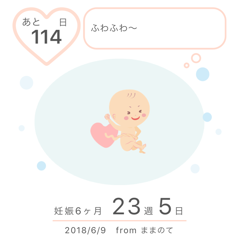 23週 23週