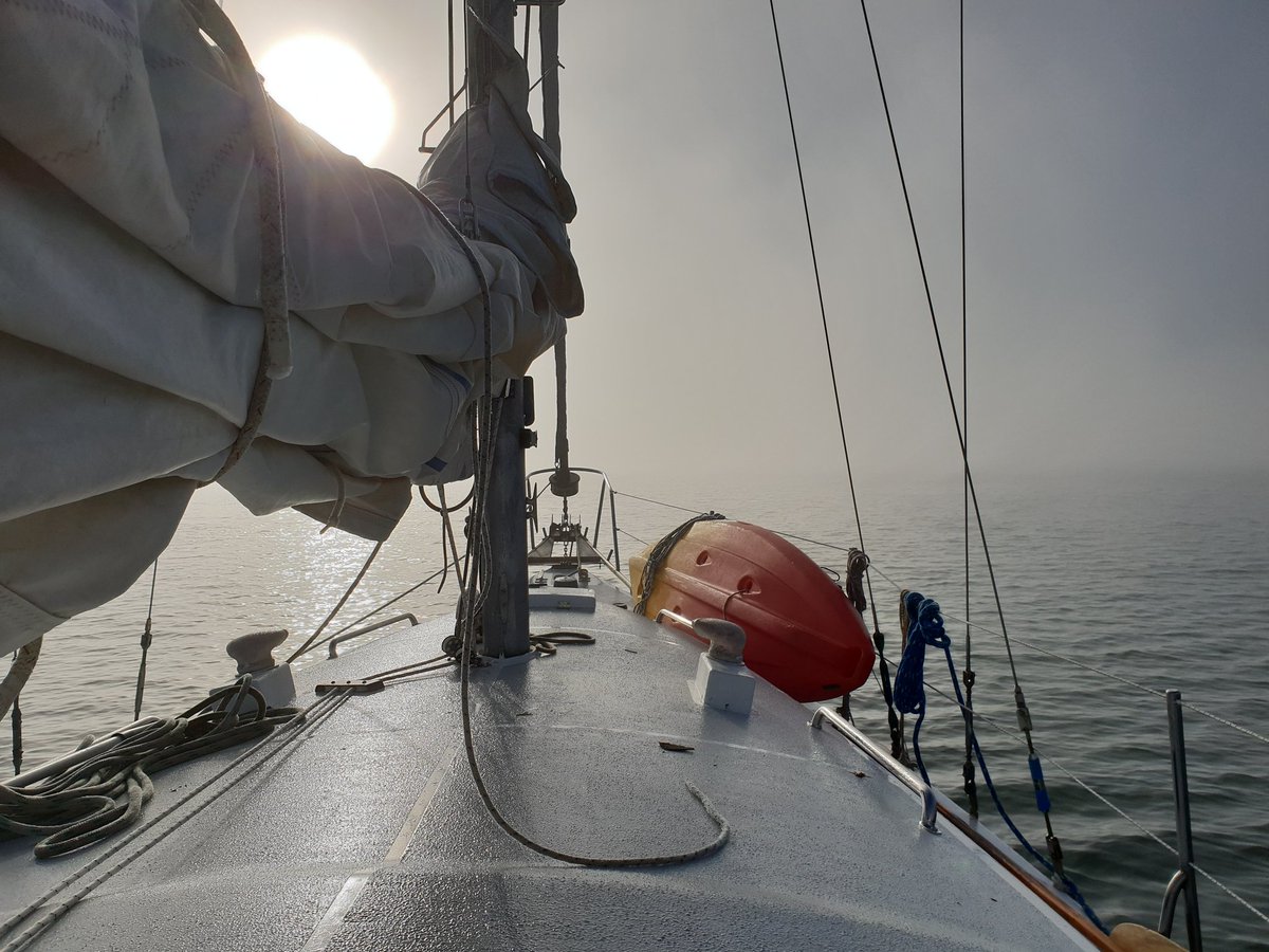 EntropyBoat's tweet image. Flat Earth: confirmed