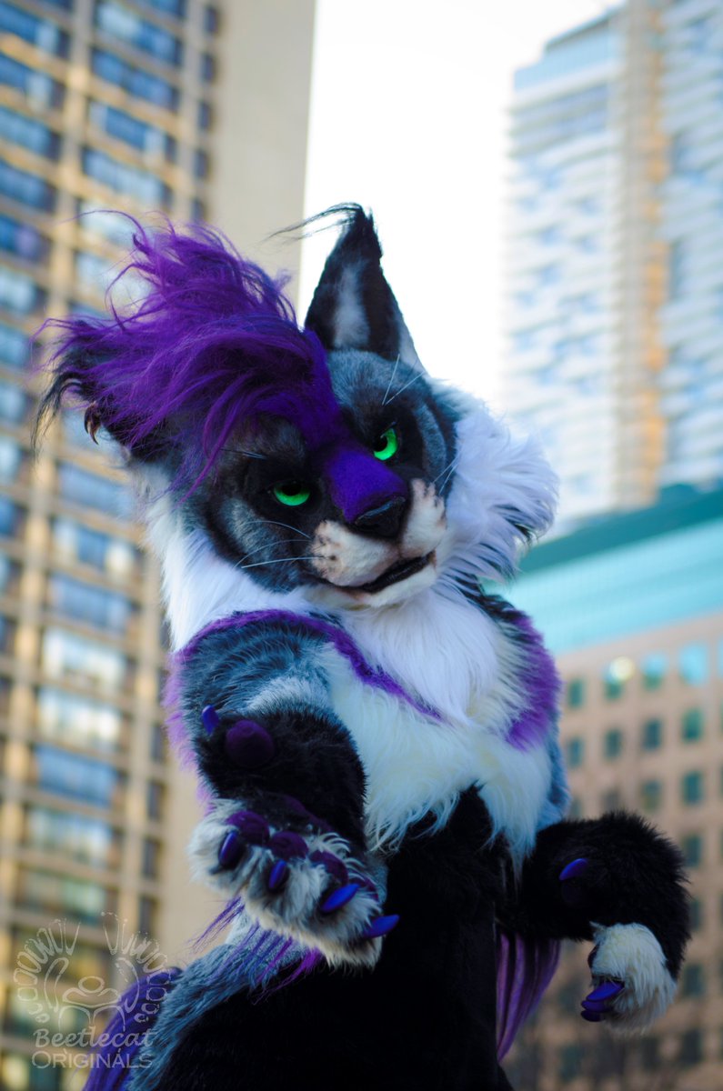 Beetlefursuits's tweet photo. Here's my personal character, Beetle, visiting the grand city of Toronto for Furnal Equinox in 2017!
🏙️🐱🏙️
#FursuitFriday #FurnalEquinox @FurnalEquinox #FE2017 #Canada #Canadian https://t.co/fzhkvPUzac