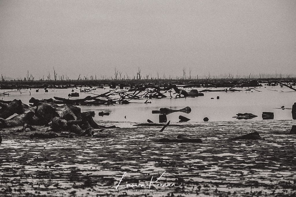 #nikon #nikond5600 #nikonartists #nikonphotography #lakemulwala #yarrawonga #yarrawongamulwala #yarramul #tourism #victoria #victorianphotographer #tourismvictoria #lovewhereyoulive #australia #eatyourheartout #lakemulwala #lake #landscapephotography #landscape