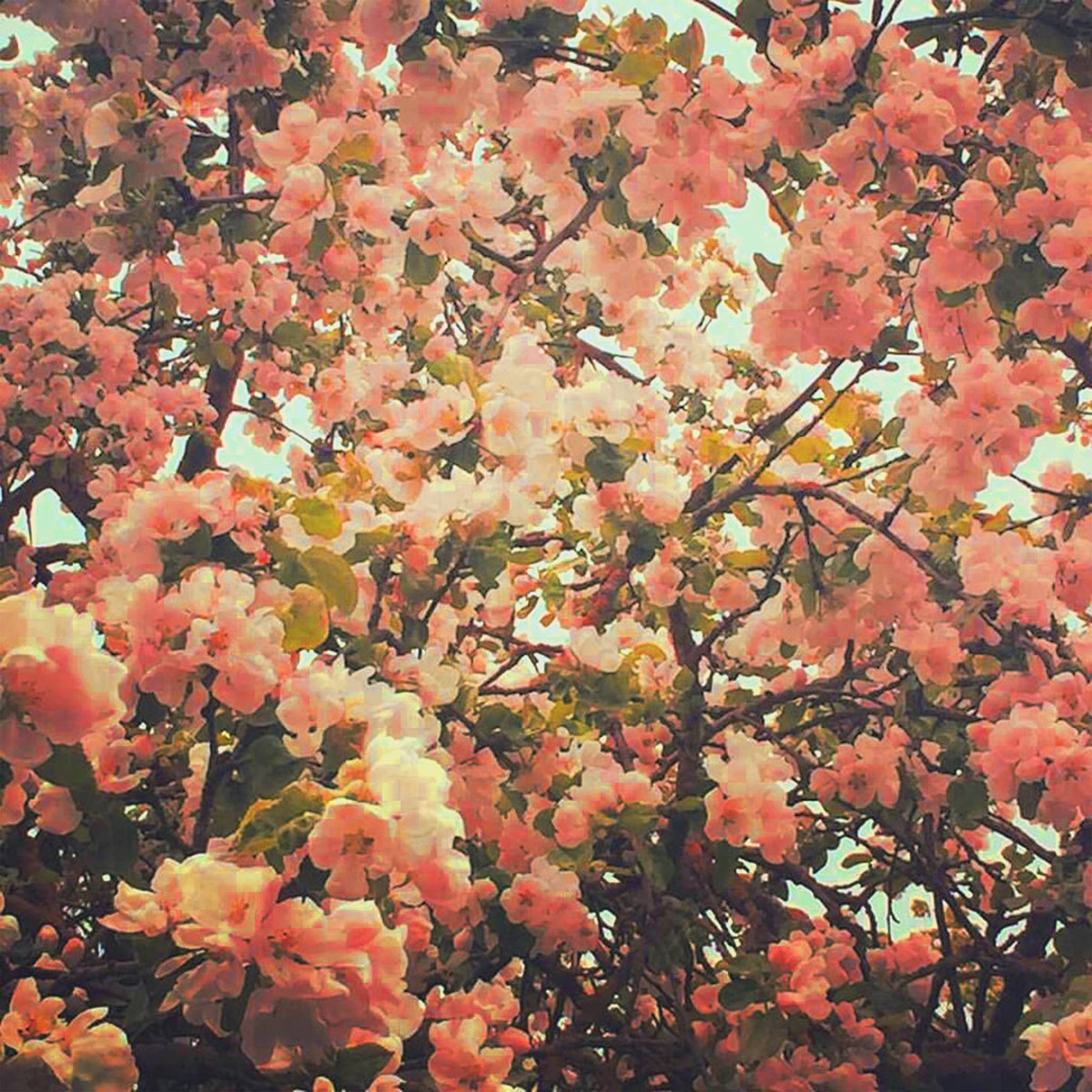 acidstag's tweet image. SUNDAY CHILLS: wp.me/p2iymy-j2r

Here’s your lazy Sunday session where there’s nothing else to do but sit back &amp;amp; chill ❄❄

feat: @wearesosomusic x @MTNSmusic, @mons_vi, @Pronounced_Yea &amp;amp; @phoriamusic