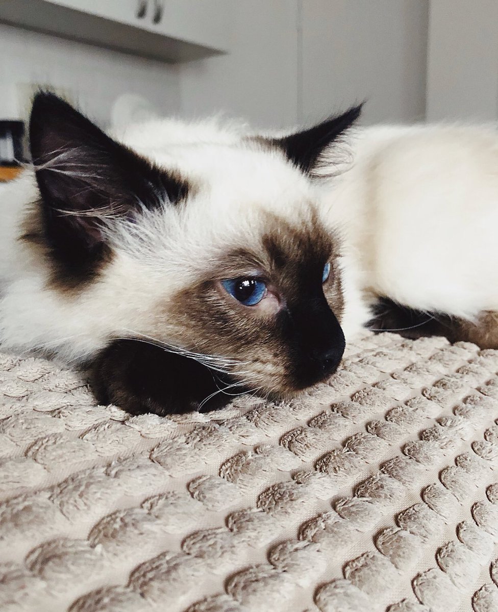 The love of my life tbh