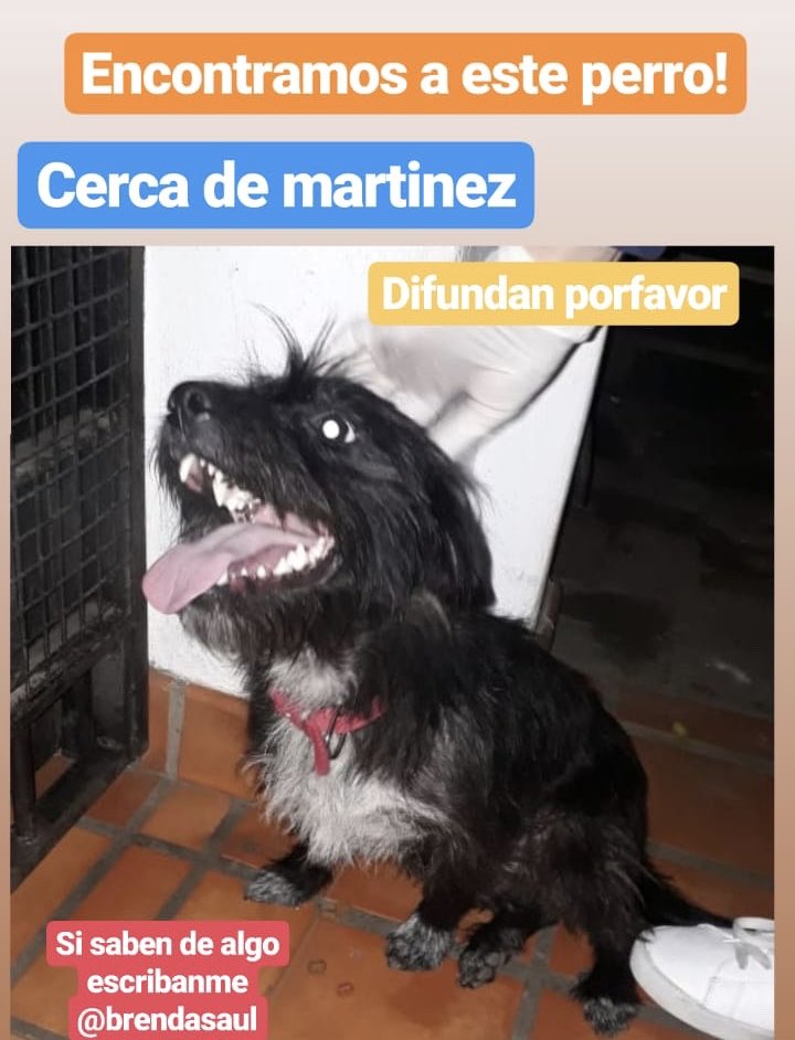 donnygrim's tweet photo. @paulitachaves @Mel_Lezcano @matildablanco @candetinelli https://t.co/xczV21ljkE