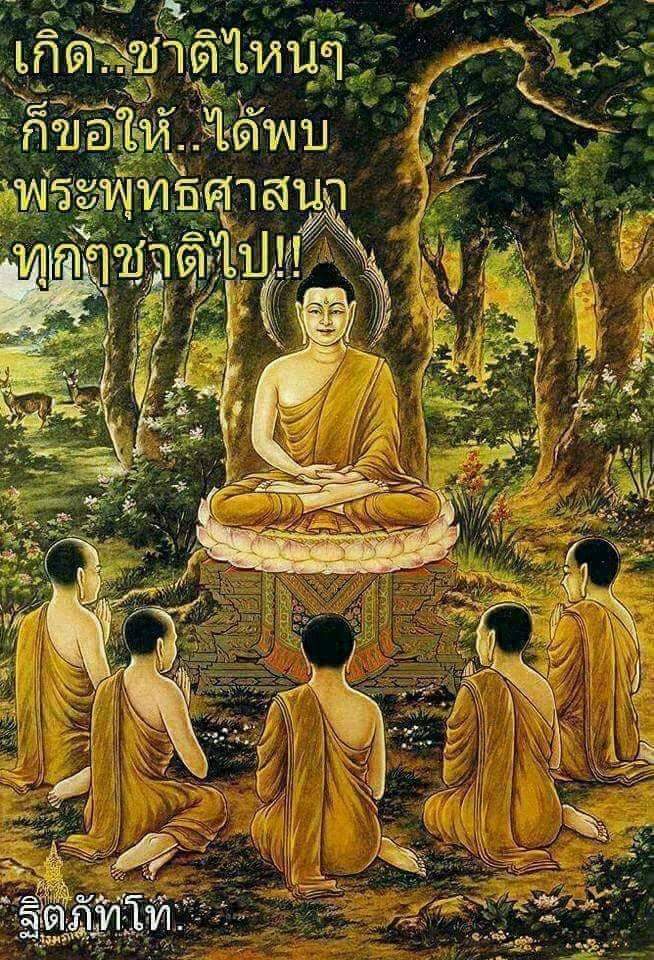 RamuAbbagani's tweet photo. Gautama became Buddha through #Yoga and meditation. Everyone has potential to reach buddhahood. #Yoga is only tool available for us to achieve this.
#YOGADAY in Bangkok on 17 June 2018. Please register at: https://t.co/vellfXVPBC  International Day of Yoga @RichardBarrow@moayush https://t.co/vVZ6VYsfI1