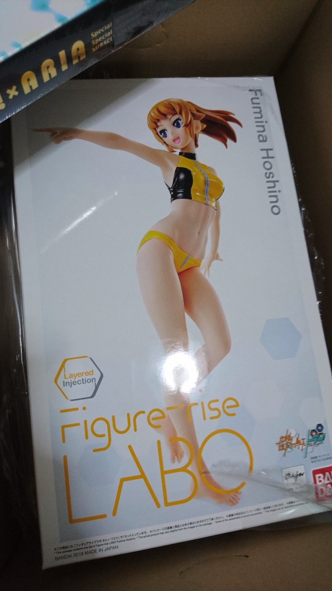 ホシノフミナ コスプレ エロ ホシノ・フミナの“ガンプラ”を入手した人々 - posfie