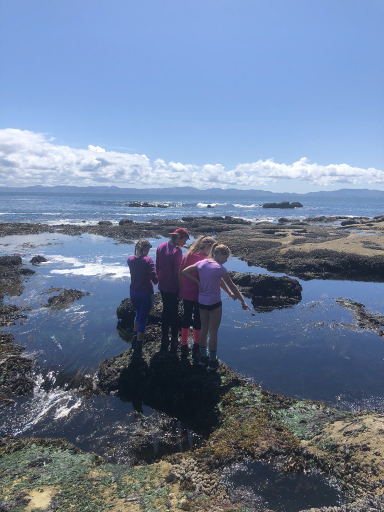 outside45's tweet photo. Day 1 exploring tide pools at Botanical beach and hiking to our first night at Sombrio. #o45 https://t.co/bBSk3PQ1xQ