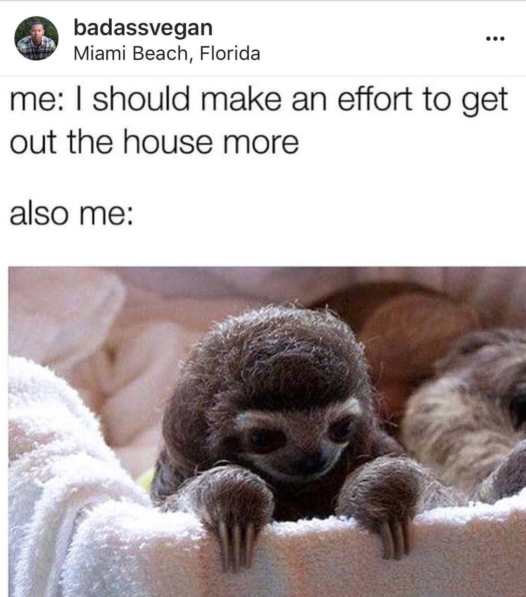 BADASSVEGAN's tweet image. I CAN’T BE THE ONLY ONE... LOL
-
-
I really do want to get out but my living quarters are designed to cater to my comfort zone 😂 . Because as you know I am #teamsloth all day. Plus this is how i turn up on a Friday lol. 
Shout out to @hny_badger for this one lol