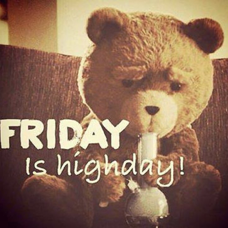 420partypeople's tweet photo. #highday #hightimes #highaf #marijuana #mmj #potheadsociety #puffpuffpass #sativa #indica #stonerfam #stoner #smokepot #smokeweed #hsc #ganja #cannabis #eeed #weedstagram420 #weedfeed #weedporn #staylifted https://t.co/bNKqbco4j5