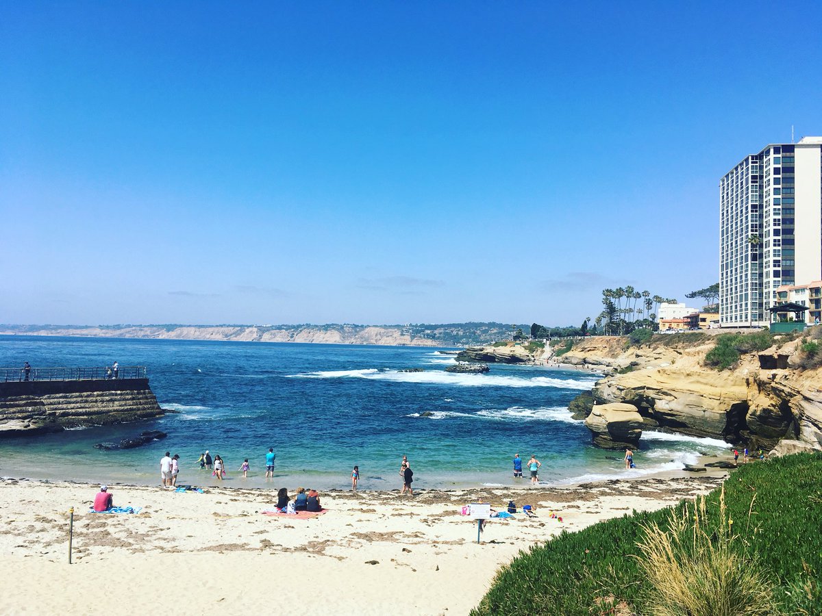 Steve Kim, PT, DPT tweet media