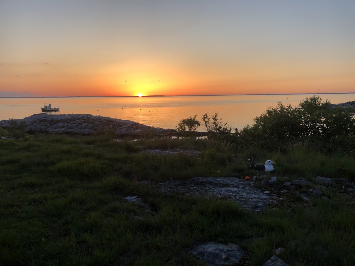 MEEGSML18's tweet photo. I think this might become a sunset twitter page at this point https://t.co/gzbaWxR6Si