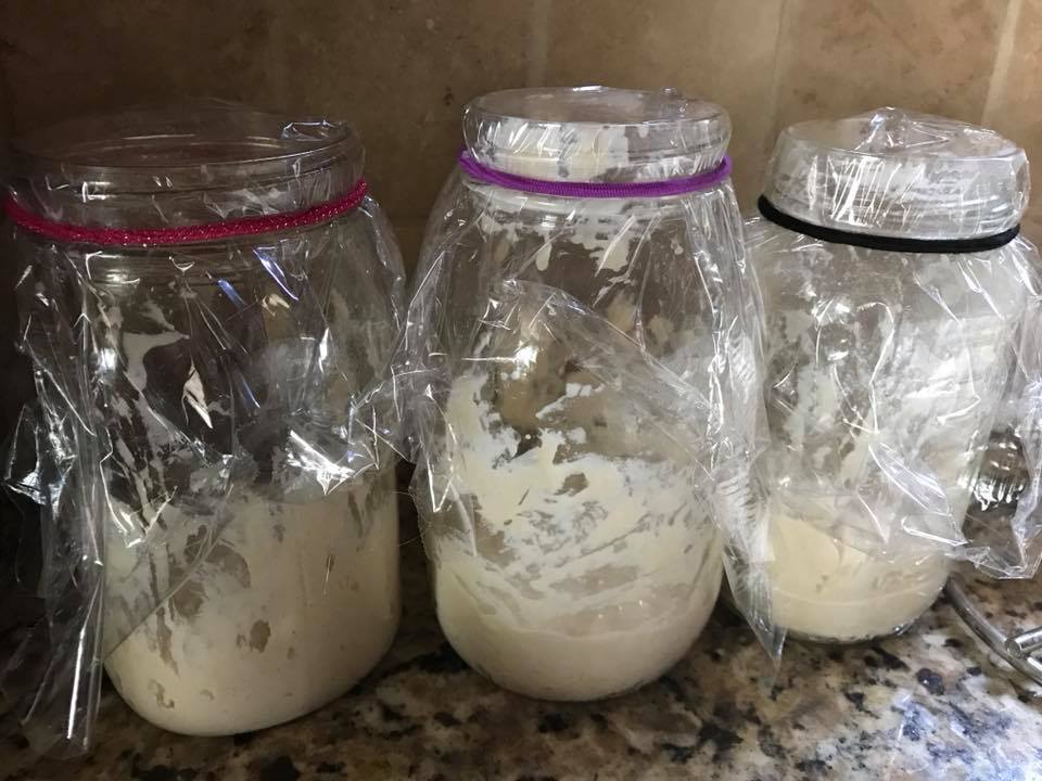 Sourdough Starters– 2 Ingredients! nessamakes.com/2018/06/08/sou…