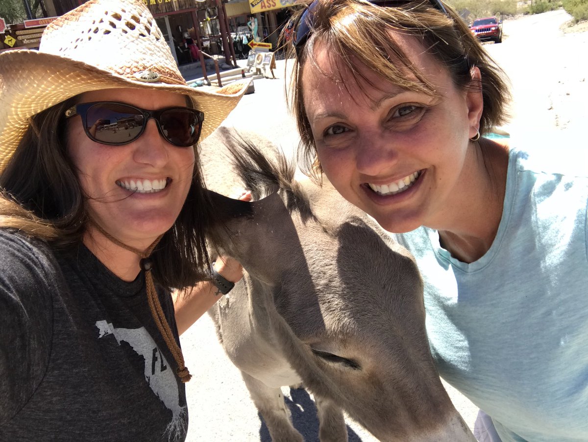 llgregson's tweet photo. Wild West https://t.co/olE5LmZiph