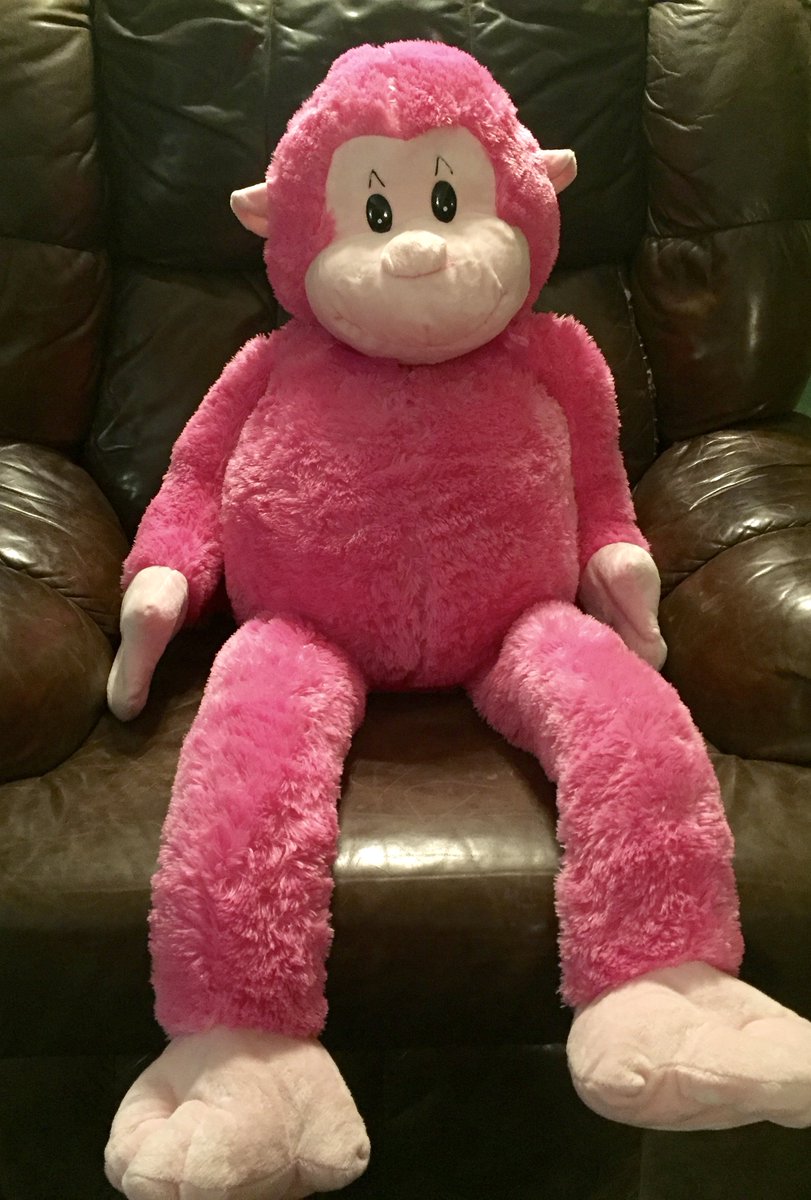 pink monkey teddy