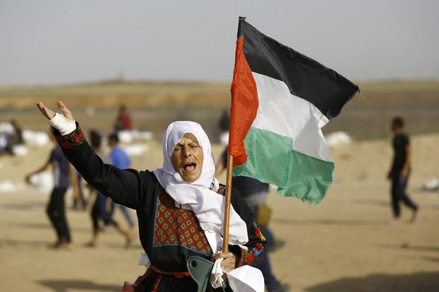 178kakapo's tweet photo. 🇮🇱's strategy violates international law ◢◤
"Israel has been exposed as an oppressive, ruthless state that violates international law by using lethal, high-velocity bullets against peaceful protesters
https://t.co/3eXZeFv9LZ
fr. MEE
🇮🇱Terrorists
#Stand4Gaza
#FreePalestine https://t.co/0u79KheD36