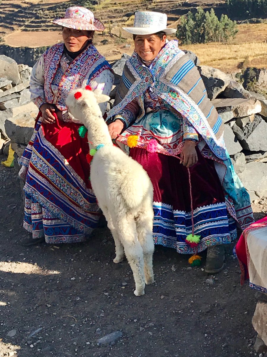 Women sunning themselves with their #alpaca outside #Chivay village in the #Colca Canyon, #Peru. #ColcaCanyon is 3,501 metres (11,488 feet) deep, more than twice as deep as the Grand Canyon (1,737 m; 5,697 ft), USA.