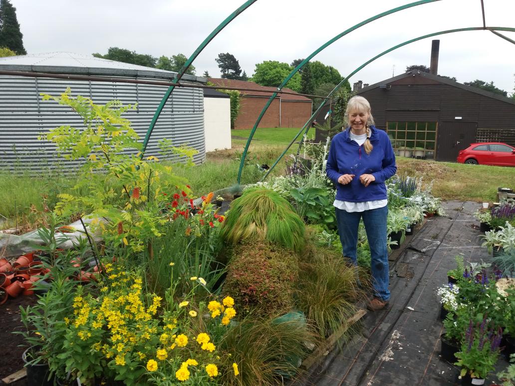 Mike Baldwin tweet media