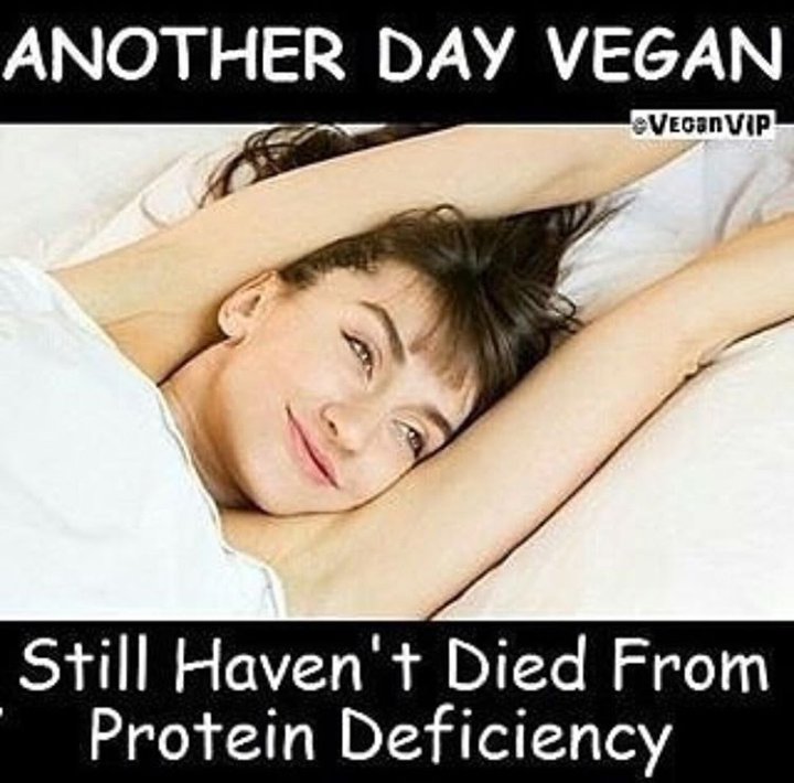 LawlorHayley's tweet photo. #vegano #Vegan #goodmorning #sotrue https://t.co/TUp0nZXc3a
