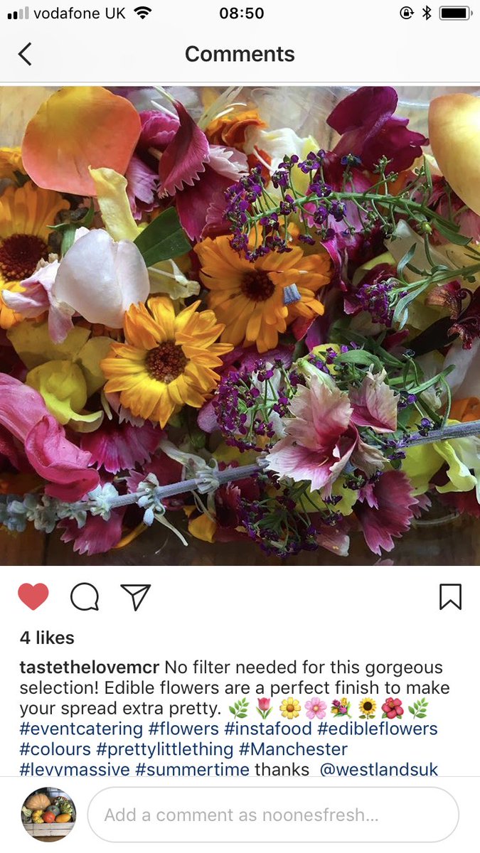 Brightly coloured blast of flower love for our <a href="/WestlandsUK/">Westlands UK</a> mixed flower pack from <a href="/Tastethelovemcr/">Sarah Holder</a> this morning 💚💚💚😍😍😍🌸🌸💐💐🌷🌷