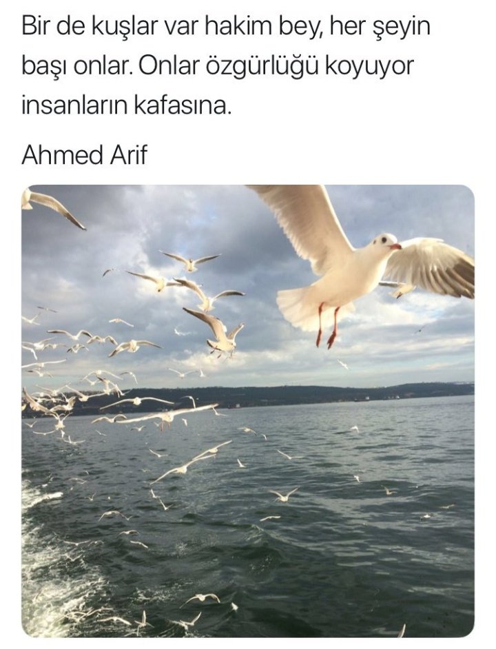 muratdrpunr's tweet photo. #özgürlük #göreceli https://t.co/zWgigsvKxy