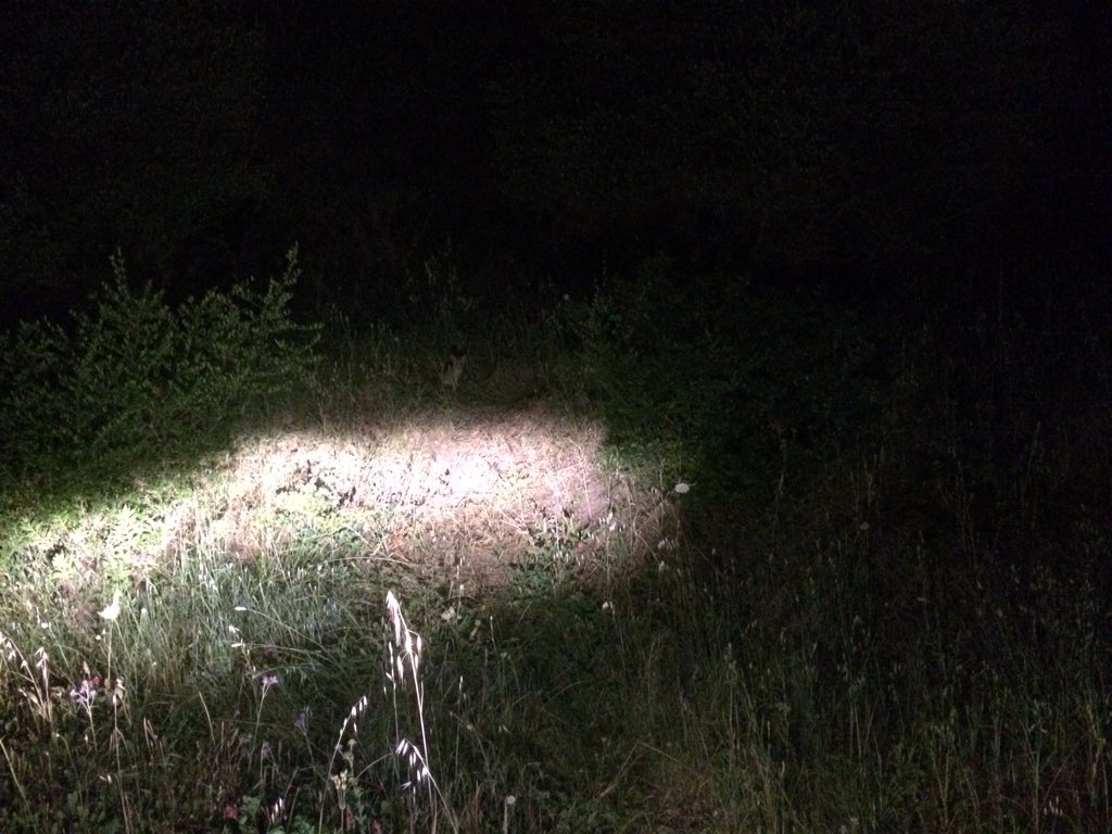 DfO3JfcXUAAXN5D.jpg:large