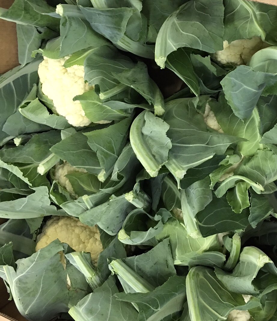 Ribble Farm Fare tweet media