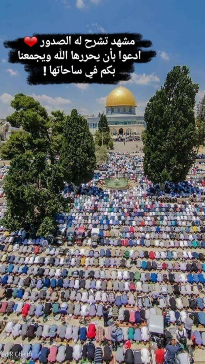 shahd Alfarra (@shoshofarra) on Twitter photo 