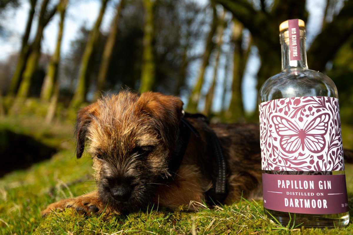 Team Papillon Gin have been hard at work to make sure you have our Gin on #WorldGinDay Drink it at <a href="/DartmoorHotel/">White Hart Dartmoor</a> <a href="/horsedartmoor/">The Horse</a> The Bell Inn <a href="/RingofBellsNB/">RingofBellsNB</a> Moreton News <a href="/DairySarah/">札幌偽造💸CLUB</a> <a href="/Warrenhouseinn/">Warren House Inn</a> <a href="/jaded_palates/">Jaded Palates Wines</a> <a href="/IlsingtonHotel/">IlsingtonHotel</a> @PrinceHallHotel <a href="/sandyparkinn/">Sandy Park Inn</a> @BridfordInn Enjoy!