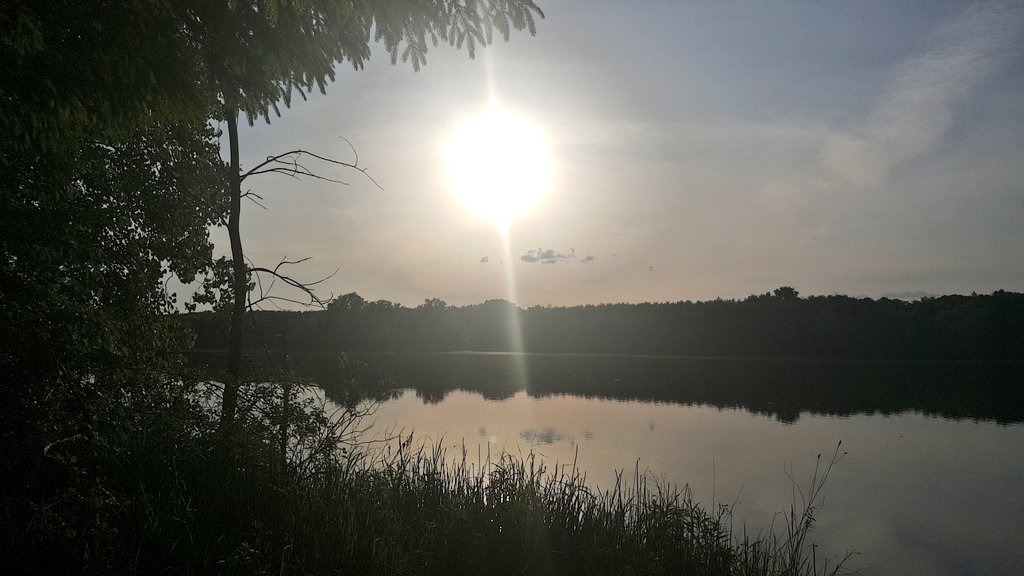 bmark14's tweet photo. sunsets on pittock conservation 💗 I went for my daily 30km bike ride, today's happened to be during sunset. Twas beautiful. https://t.co/gwKyaBTZ0T