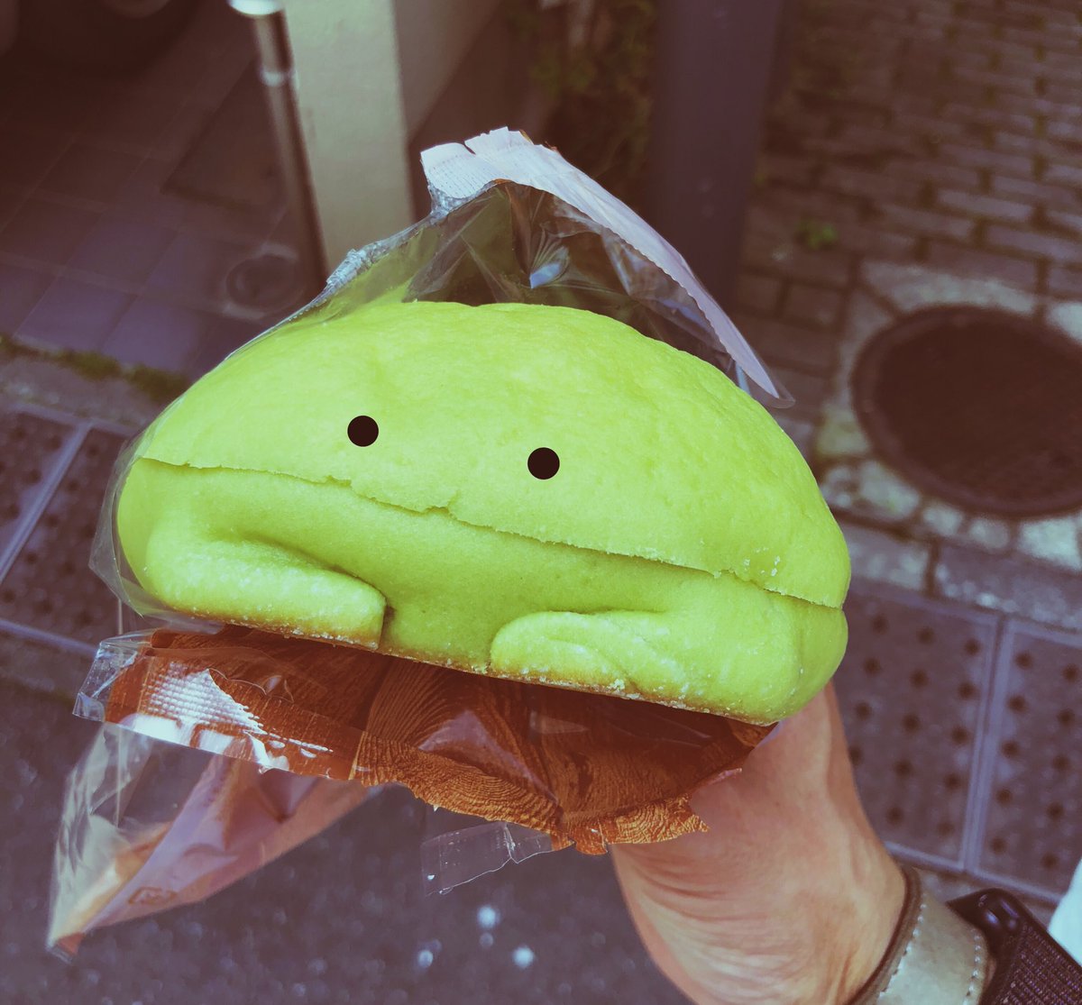 Nico Team Ar 幹部 En Twitter これしか見えない Finally Caught Shiny Kabuto Melonpan メロンパン 色違いカブト Shinypokemon Kabuto ポケモンgo Pokemongo