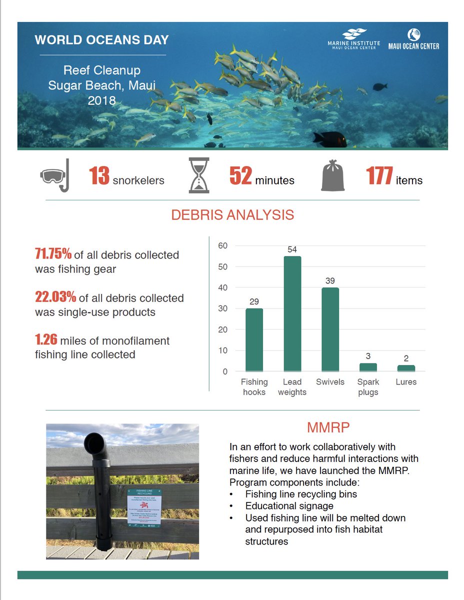 A big mahalo to all of the volunteers who joined us this morning at Sugar Beach to help clean the reef! #Maui #Hawaii #PlasticPollution #coralreef #SeaTurtles #WorldOceanDay2018
