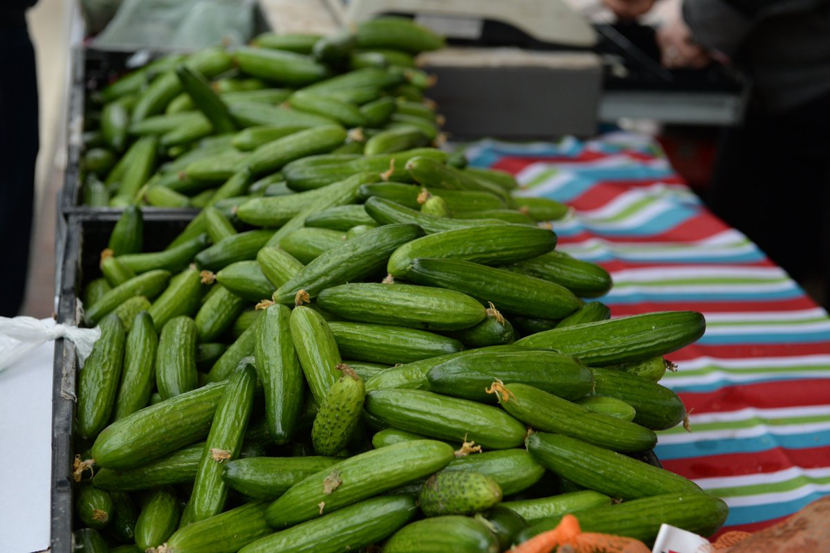 thedishWI's tweet photo. From art to zucchini, we have your @DaneCoFM trip covered. Check out our A to Z Farmer's Market guide, now on our website! https://t.co/KRbKP49Kgc https://t.co/gZhhxIATgG
