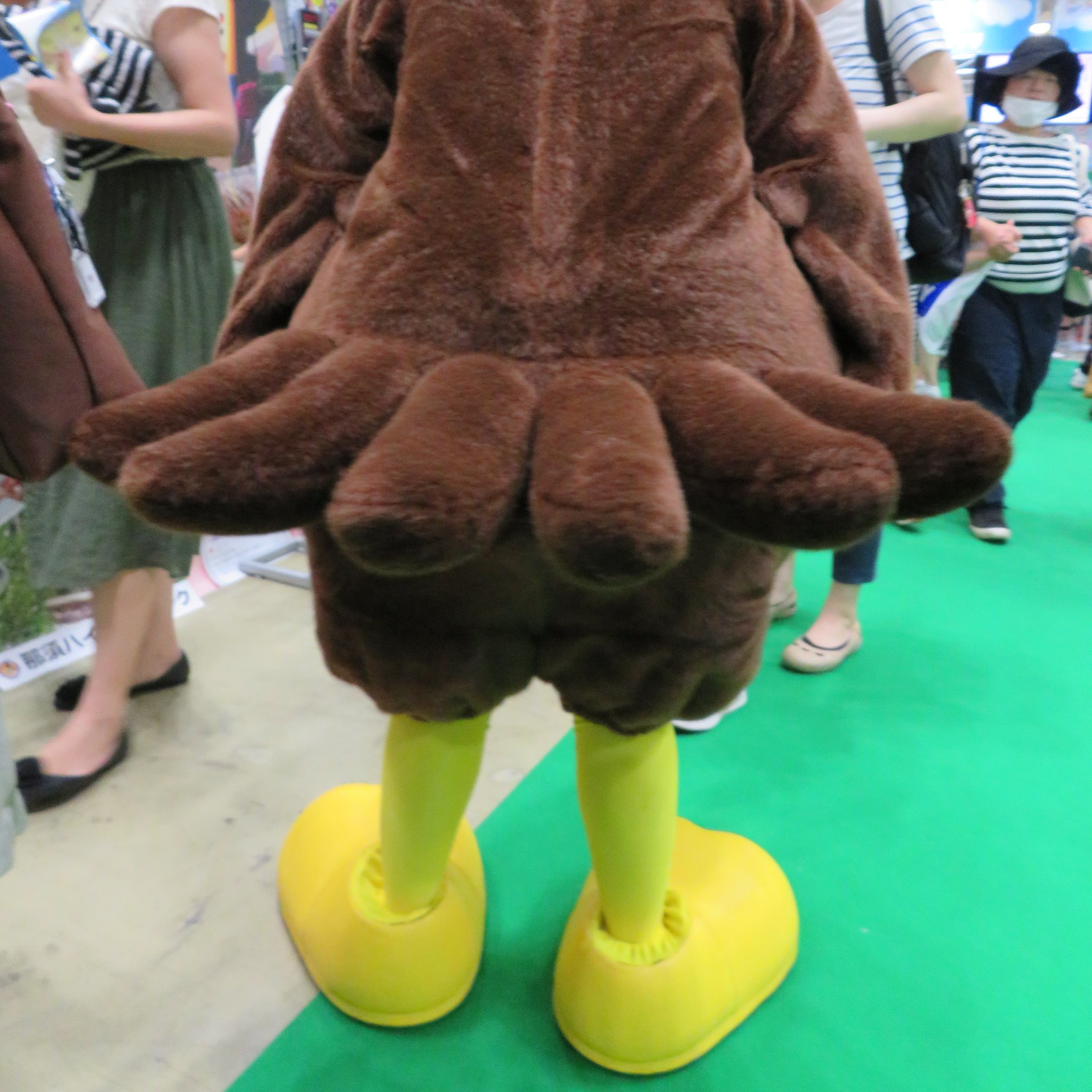 Shiro しろ かっこかわいい那須ハイランドパークのウーピーくん いろんなポーズやしっぽを見せてくれてありがとう かわいいかわいい Shiro しろ かっこかわいい那須ハイランドパークのウーピーくん いろんなポーズやしっぽを見せてくれてありがとう かわいいかわいい