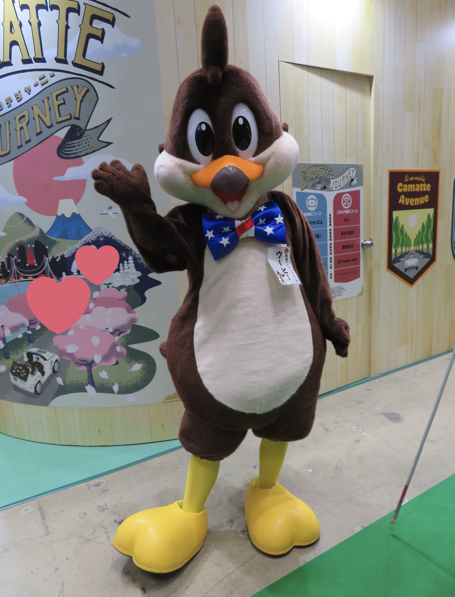 Shiro しろ かっこかわいい那須ハイランドパークのウーピーくん いろんなポーズやしっぽを見せてくれてありがとう かわいいかわいい Shiro しろ かっこかわいい那須ハイランドパークのウーピーくん いろんなポーズやしっぽを見せてくれてありがとう かわいいかわいい