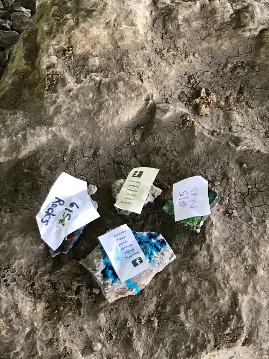 TSBtechnicalart's tweet photo. These 615 rocks by students were hidden today at two parks https://t.co/asPwEJPanT